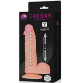 BAILE - CAESAR TREASURE DILDO REALISTA FUNCIÓN ARRIBA Y ABAJO